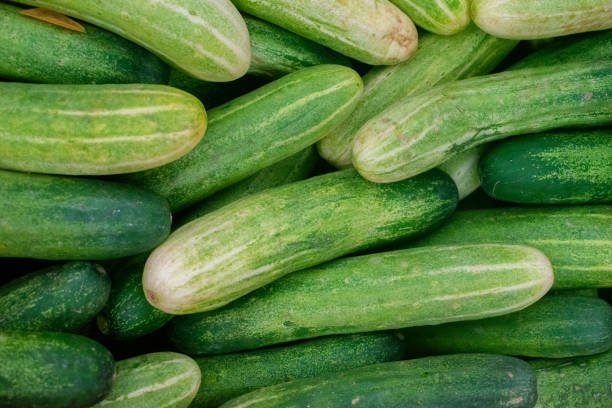 Fresh green cucumbers for sale at the market. Cucumbers background.
