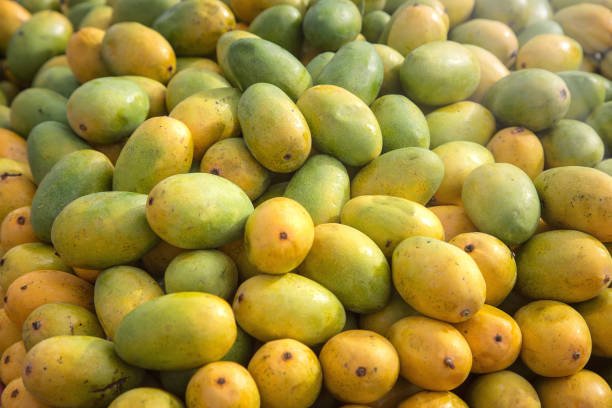 Bunch Of Indian Mangoes