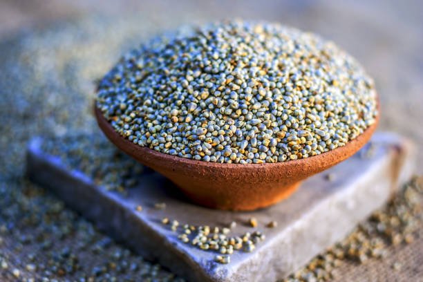 Raw organic Pennisetum glaucum,Bajra pearl millet in a clay bowl.