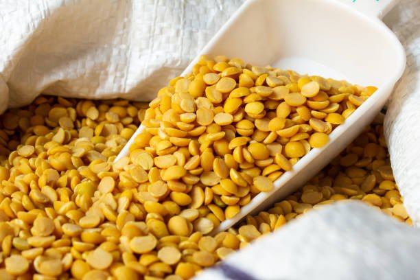 Pigeon pea (also known as tur dal) is a common staple food in south asia.