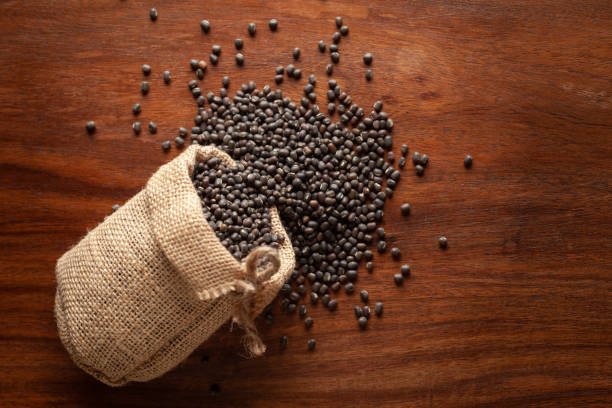 Close-up of Organic Black Gram (Vigna mungo) or whole black urad spilled out from a laying jute bag over wooden brown background.
